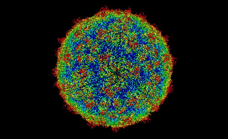 We Just Created an Artificial Code That Governs Viruses