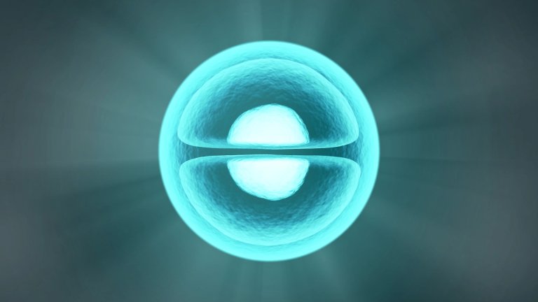 Researchers May Have Finally Solved a Decades Old Physics Mystery