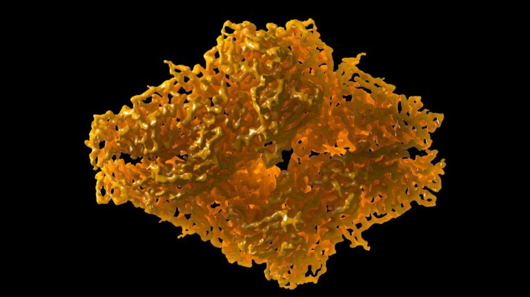 Research into Cryo-Electron Microscopy Lands Nobel Prize in Chemistry