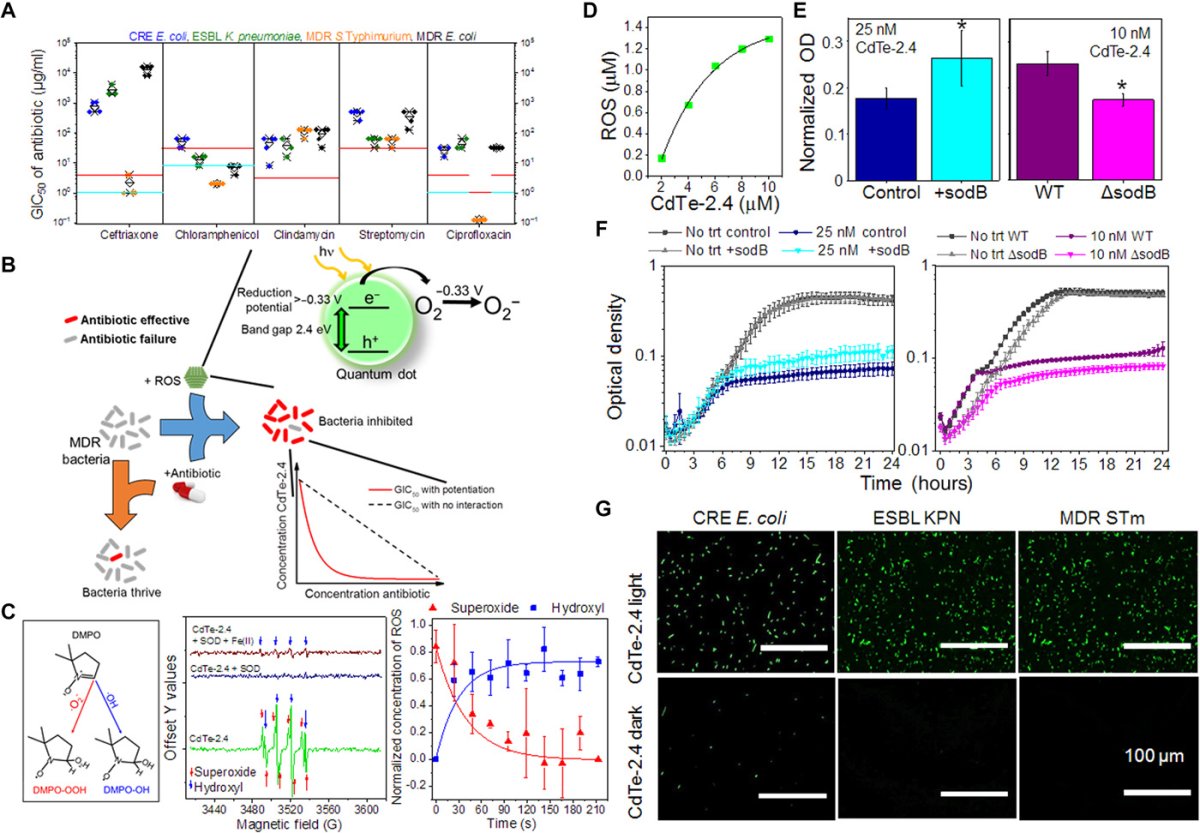 Image Credit: Courtney, et al/Science