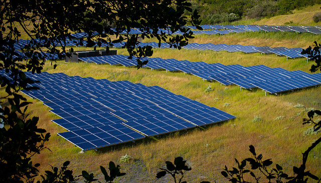 U.K.'s largest solar farm