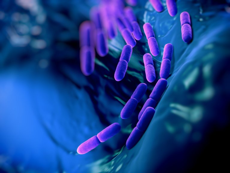Scientists Have Expanded the Genetic Code in Bacteria