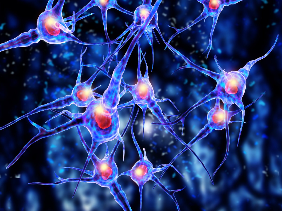 Replacing Cells in the Human Brain Could Bring an End to Parkinson’s ...