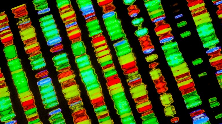 dna sequencing human genome