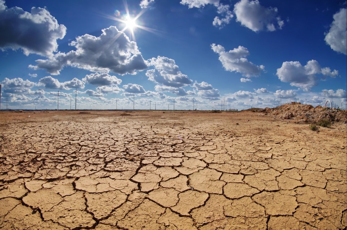 elon musk artificial intelligence climate change