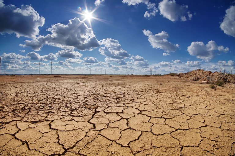 elon musk artificial intelligence climate change