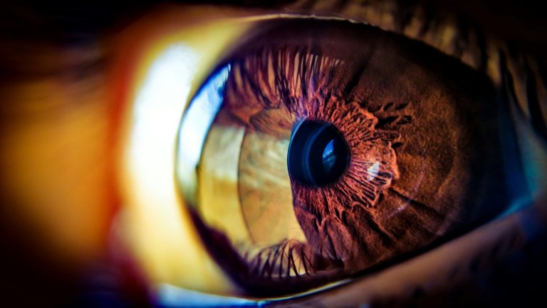 Human Embryonic Stem Cells Were Just Used to Fix A Leading Cause of Blindness