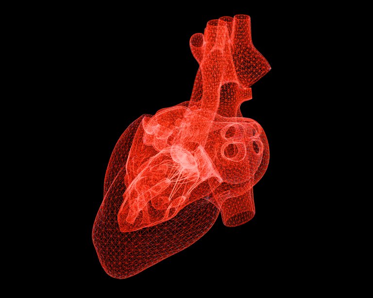 A Breakthrough Initiative Has Been Announced to Manufacture Human Organs