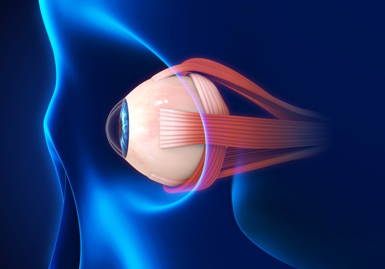 New Drug Delivery Device Treats Glaucoma from Within the Eye