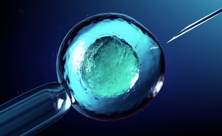 Growing Human Mini Brains in Rats Isn’t an Ethical Concern…Yet