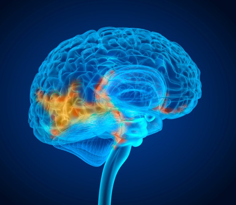 Neuroscientists Are Trying to Alter Our Brain Circuits to Eradicate Pain