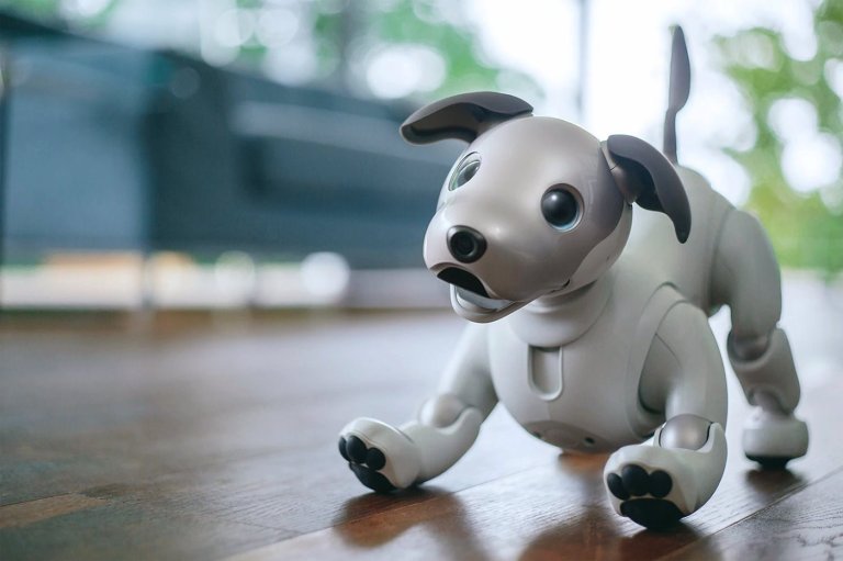 Our Future Pets May be Plastic and Metal Instead of Flesh and Blood