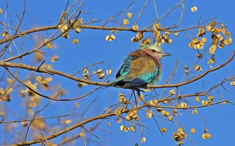 Common Insecticides are Poisoning Songbirds