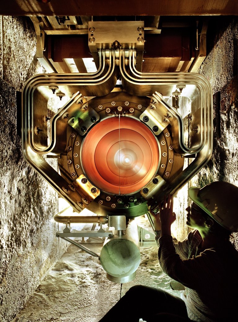 absorb neutrinos
