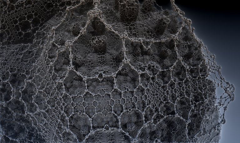 neural network artificial intelligence capsule networks