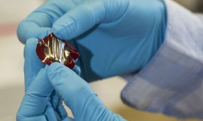 Piezoelectric rubber sample. Image Credit: Swiss Federal Laboratories for Materials Science and Technology