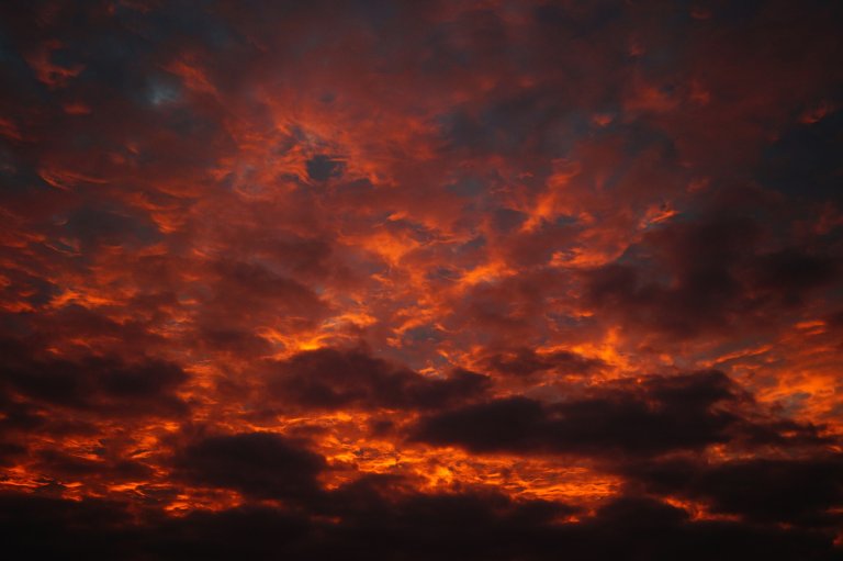 Study Predicts That After 2030, Every Other Year Will Bring Record-Hot Summers
