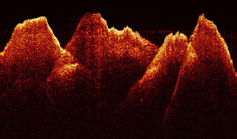Revolutionary Tech Lets Us See Inside a Beating Heart