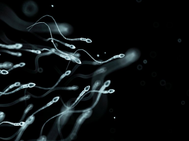 Can “RoboSperm” Really Be Used to Fight Cervical Cancer?