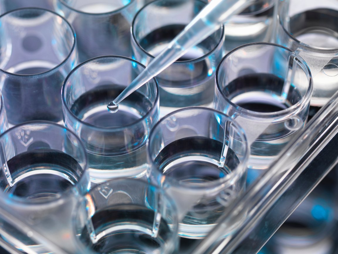 stem cells aging tissue regeneration