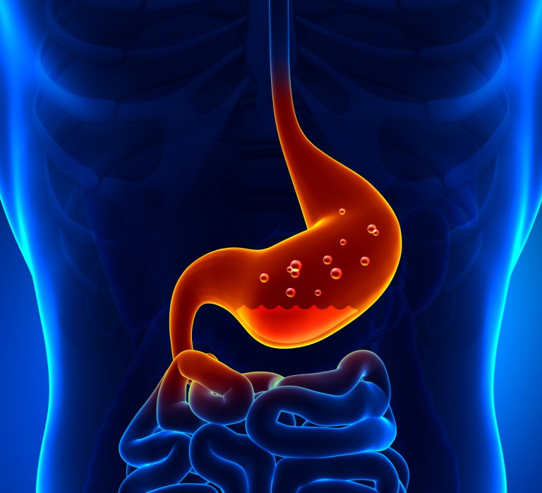 We May Have Uncovered the Biological Mechanism to Turn off Hunger