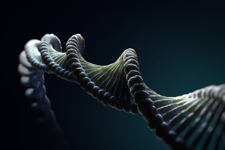 nanotechnology dna rna dna origami