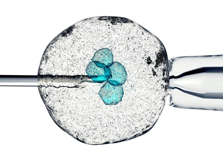 Meet Baby Emma. She Was Frozen as an Embryo for 24 Years.