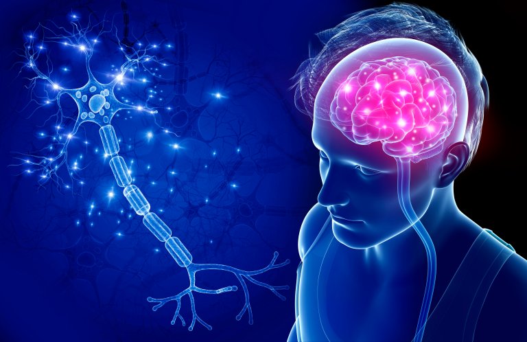 If We Want Brain-Computer Interfaces, We Must First Decode the Brain