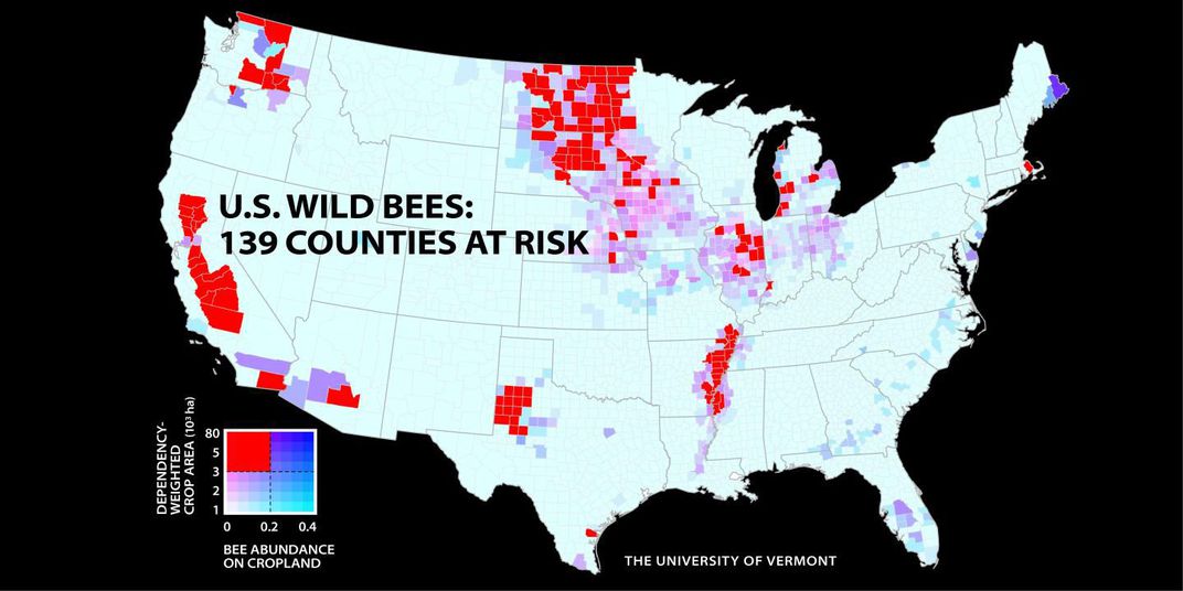 Dwindling U.S. bee populations. Image Credit: University of Vermont / PNAS
