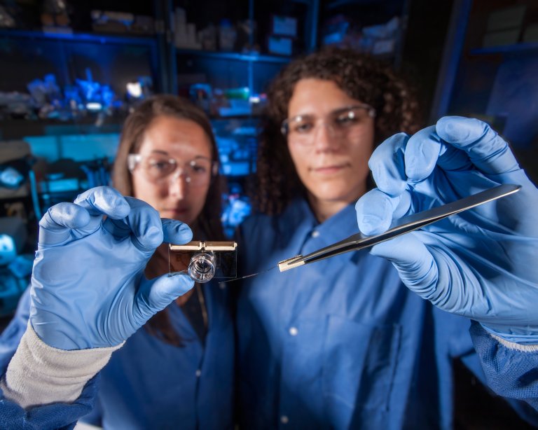 “Brain-on-a-Chip” Devices Are Changing How We Study the Brain