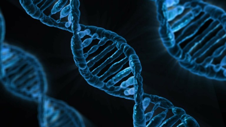 The FDA Approves a New Gene Therapy Treatment for a Rare Form of Blindness