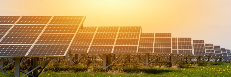 2017 Ushered in the Greenest Year Ever for the United Kingdom