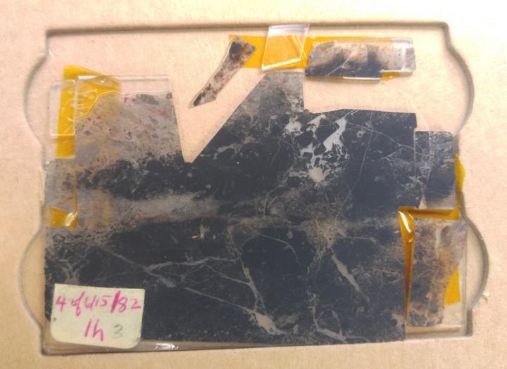 A microfossil - a part of the group of oldest fossils every discovered. Image Credit: John Valley, UW-Madison