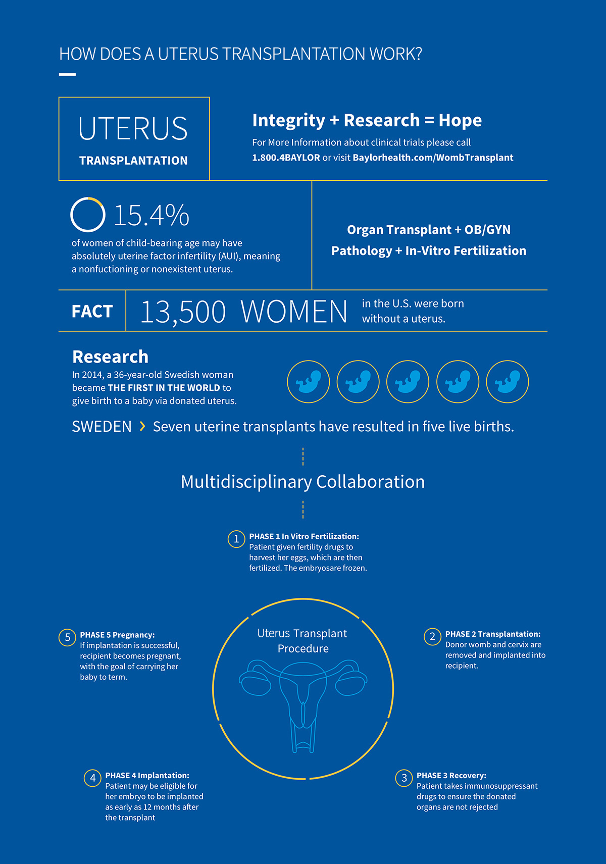 Uterus transplant infographic. Image Credit: Baylor University Medical Center at Dallas