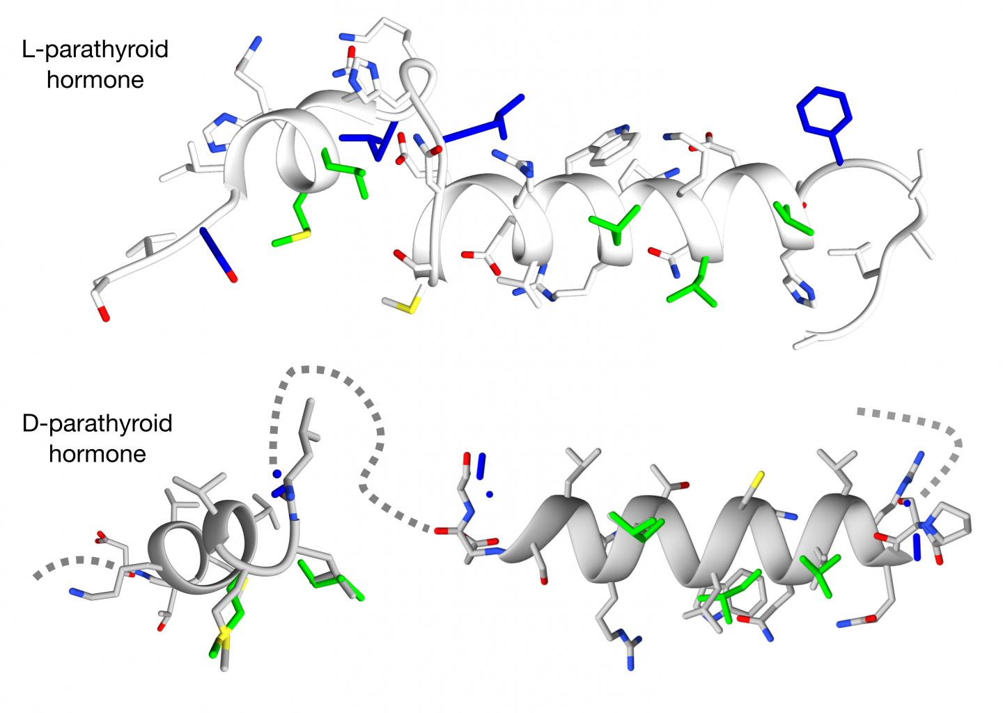 Image Credit: Michael Garton, University of Toronto