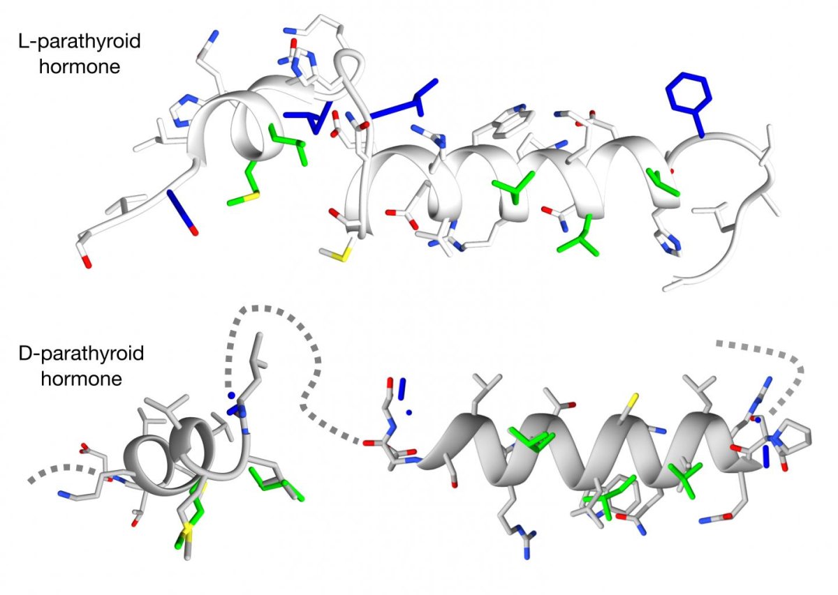 Image Credit: Michael Garton, University of Toronto