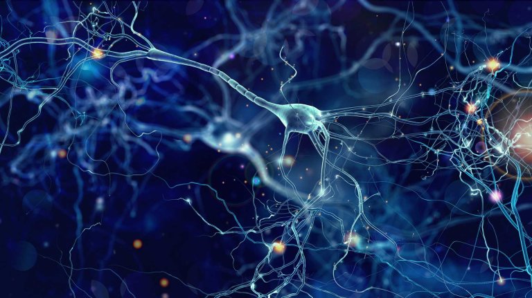 We May Have Just Figured Out How the Brain Processes Good and Bad Experiences