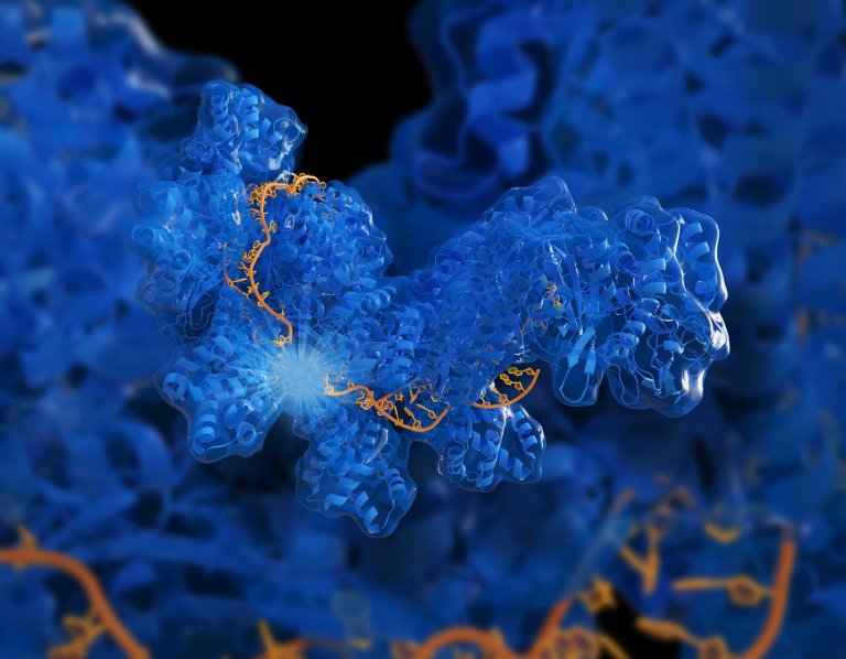 A CRISPR Future: Five Ways Gene Editing Will Transform Our World