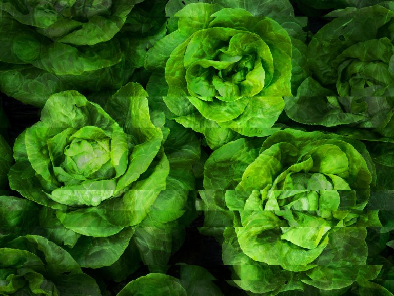 Is Organic Really Better? 4 Food Myths Debunked By Science