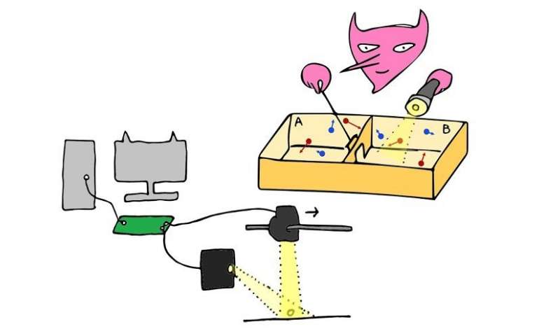 An artist’s interpretation of the experiment. Image Credit: Govind Paneru and coauthors.