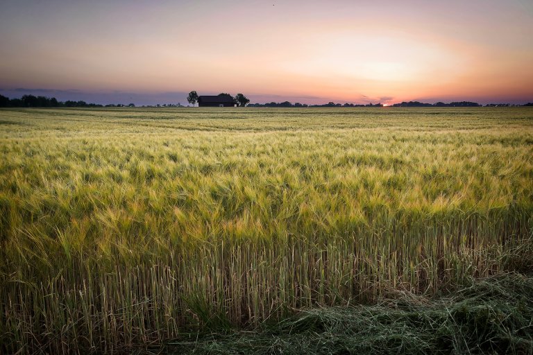 Farming Has a Huge Impact on the Environment. Enter Carbon Trapping.