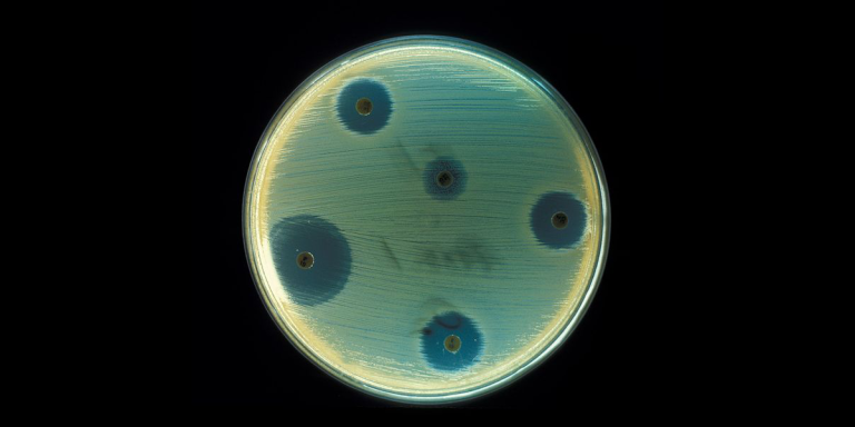 Antibiotic Considered Obsolete May Find New Use Against Superbugs