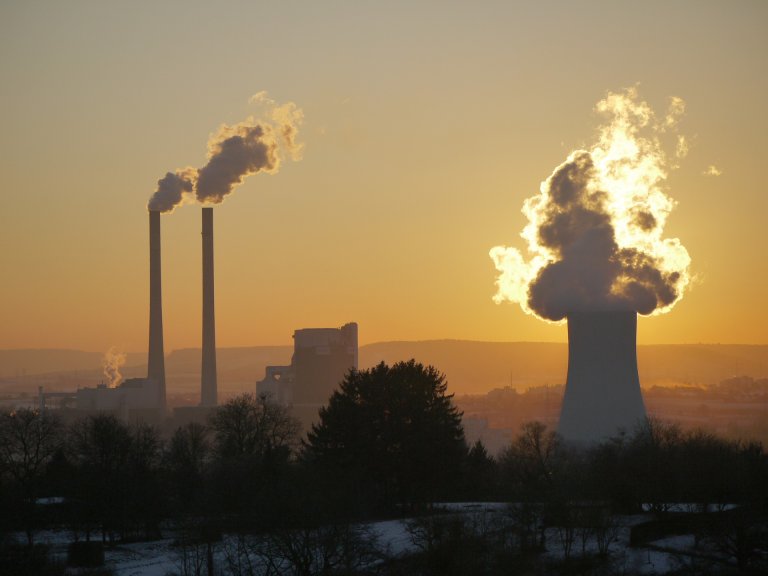 biomass