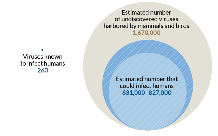 The number of viruses known to infect people is less than 0.1 percent of the total that could potentially do so. Image Credit: D. CARROLL ET AL/SCIENCE 2018