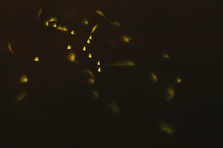 Japanese Researchers Unveil Tiny, Floating, “Firefly” Light Called Luciola