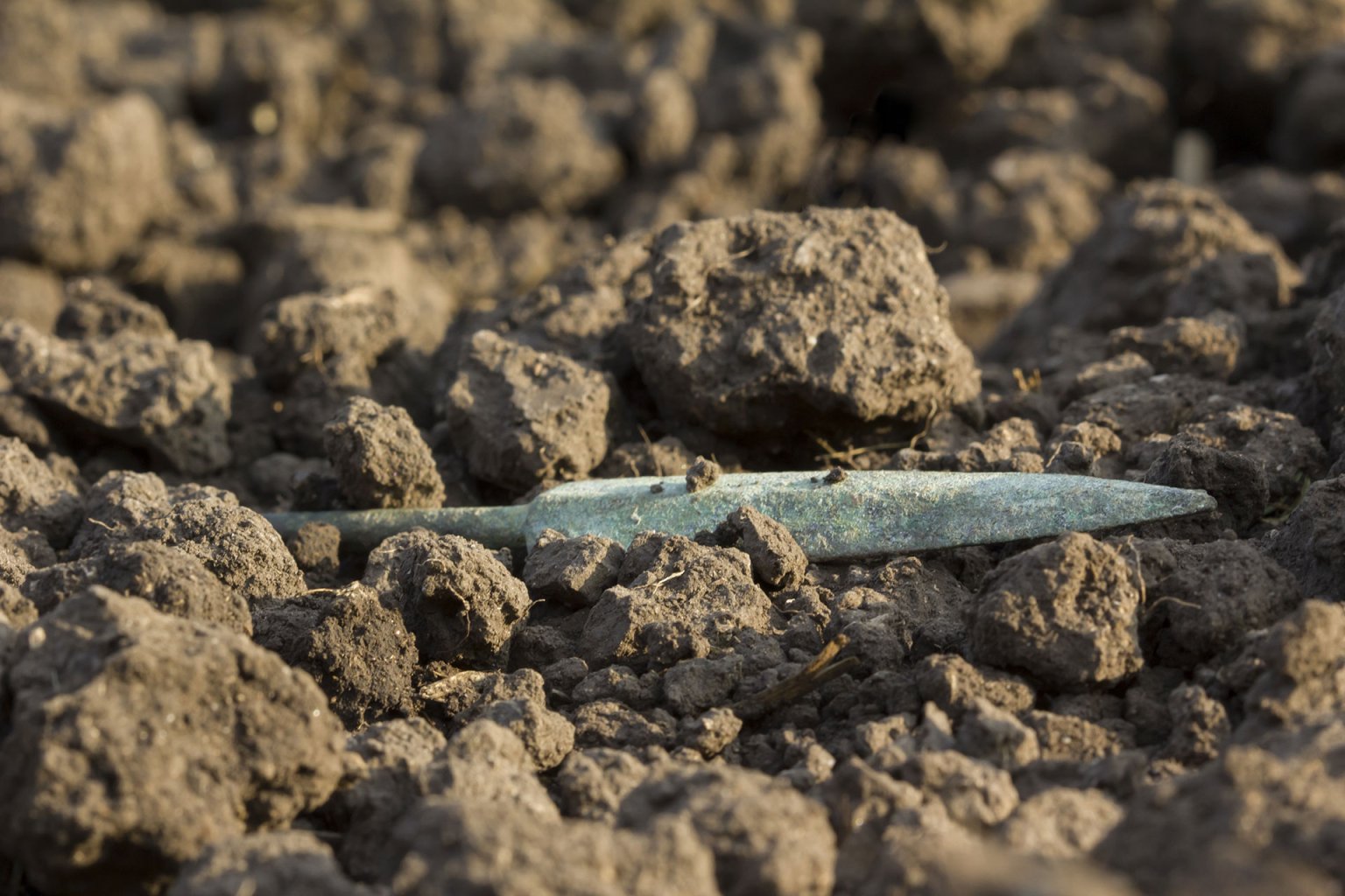 The Future of Male Birth Control: A 2,000 Year Old Poison?