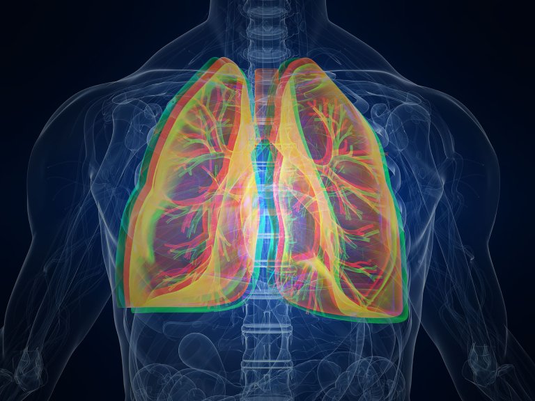 Refurbished Organs Could Save Millions on the Transplant List