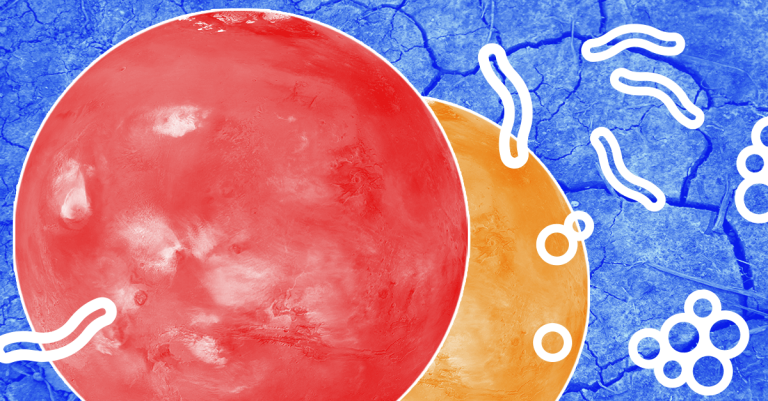 Life Exists in the Driest Desert on Earth. It Could Exist on Mars, Too.