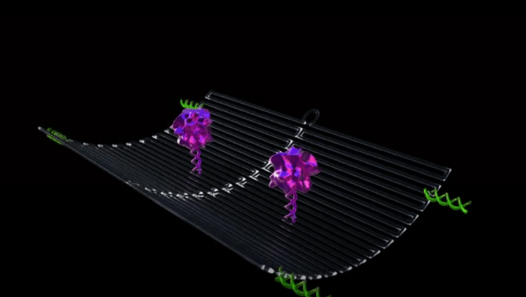 Robots Smaller Than a Human Hair Can Starve and Shrink Cancerous Tumors