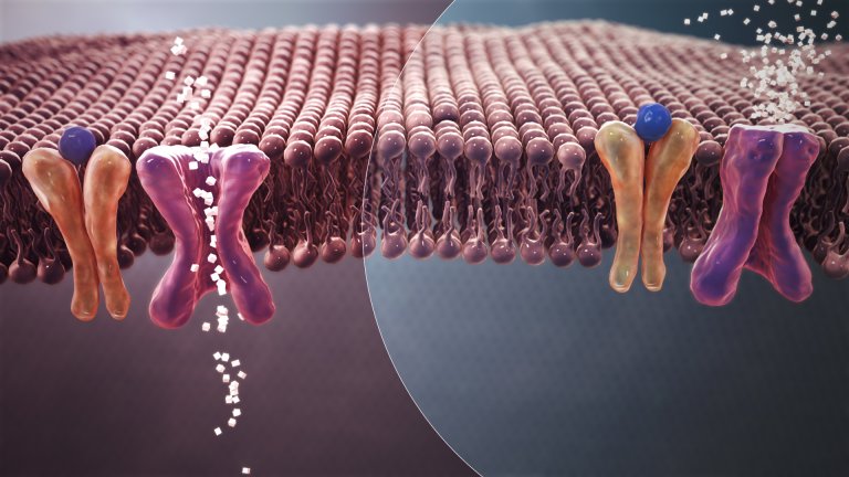 Viral Insulin Discovery Suggests Microbes Could Influence Diabetes